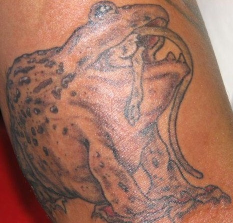 tattoos/ - pacman frog - 51529